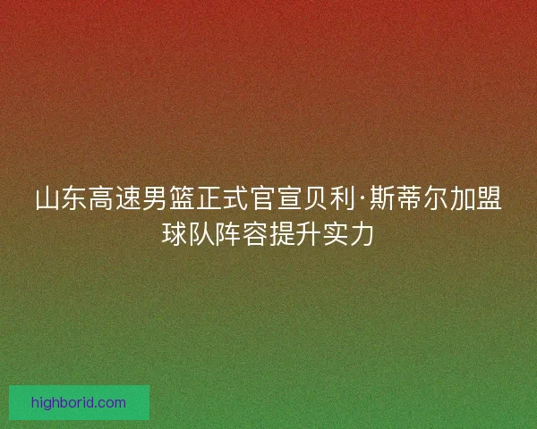 山东高速男篮正式官宣贝利·斯蒂尔加盟球队阵容提升实力