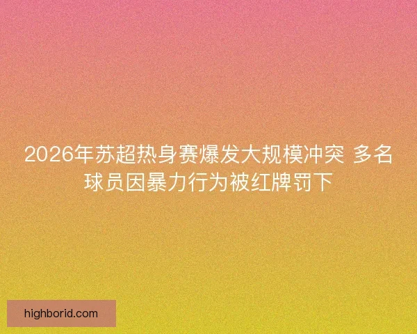 2026年苏超热身赛爆发大规模冲突 多名球员因暴力行为被红牌罚下