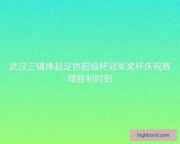 武汉三镇捧起足协超级杯冠军奖杯庆祝辉煌胜利时刻